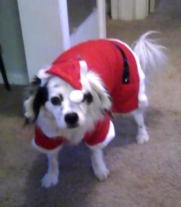 /Images/uploads/Humane Society of Utah/HSUCalendar/entries/1085thumb.jpg